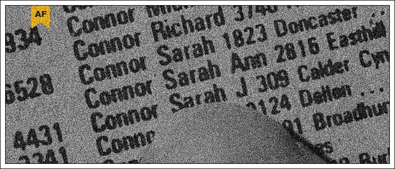 erminator adress sarah conor